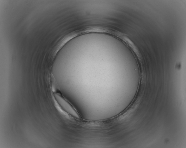 X0000091901433200710031814