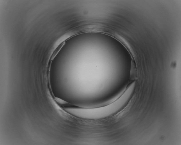 X0000091901434200710031814