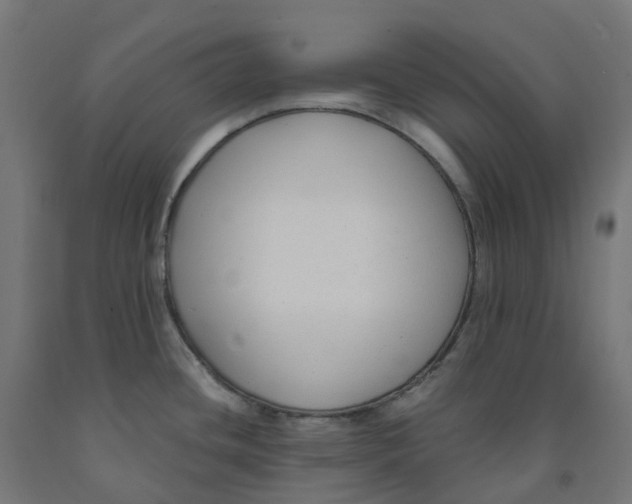 X0000091901436200710031814