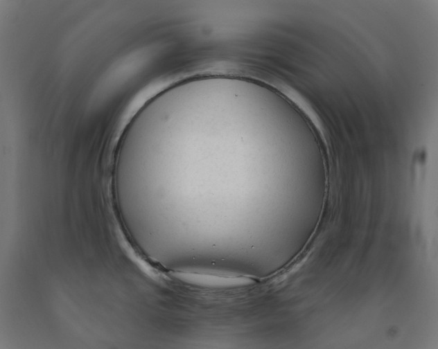 X0000091901437200710031814