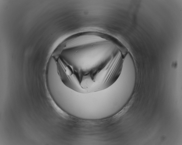 X0000091901438200710031814