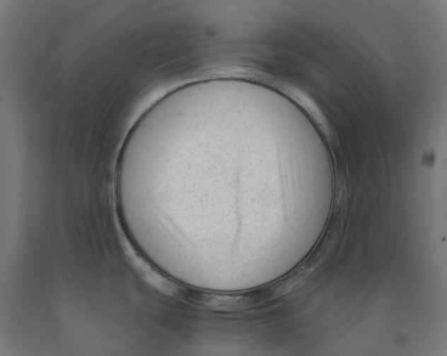 X0000091901439200710031814