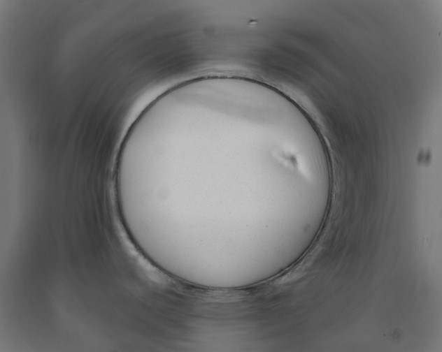 X0000091901440200710031814