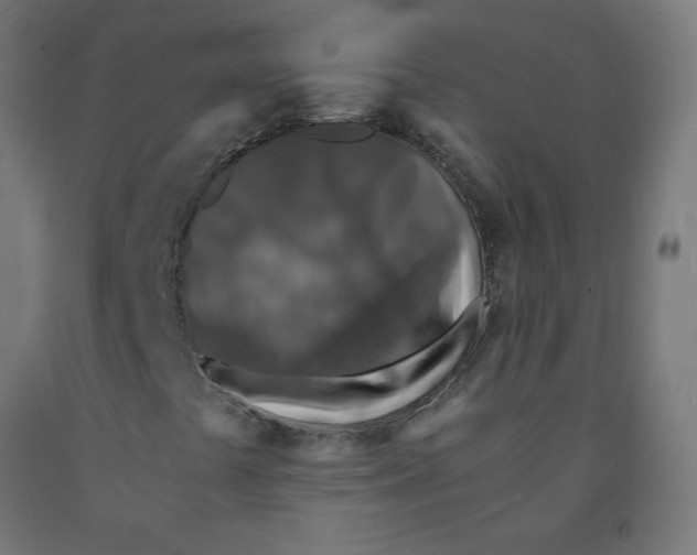 X0000091901441200710031813