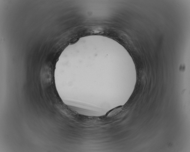 X0000091901442200710031813