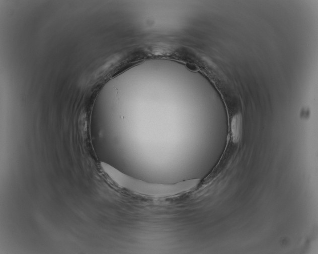 X0000091901443200710031813