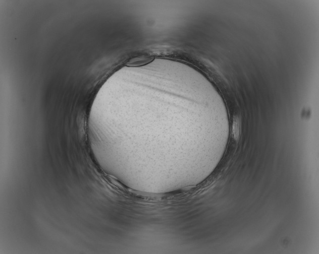 X0000091901444200710031813