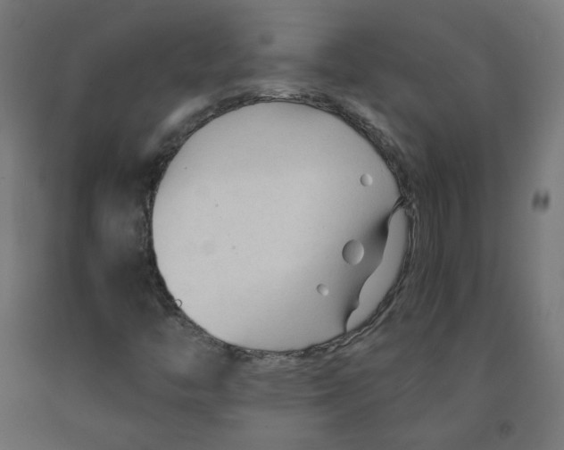 X0000091901446200710031813