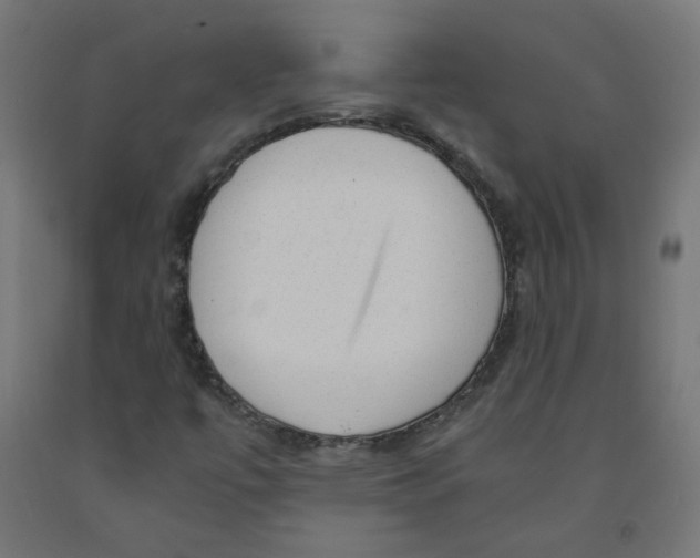 X0000091901447200710031813