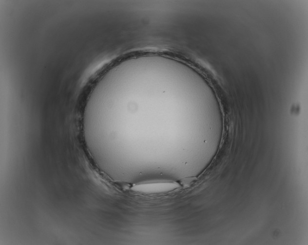 X0000091901448200710031813