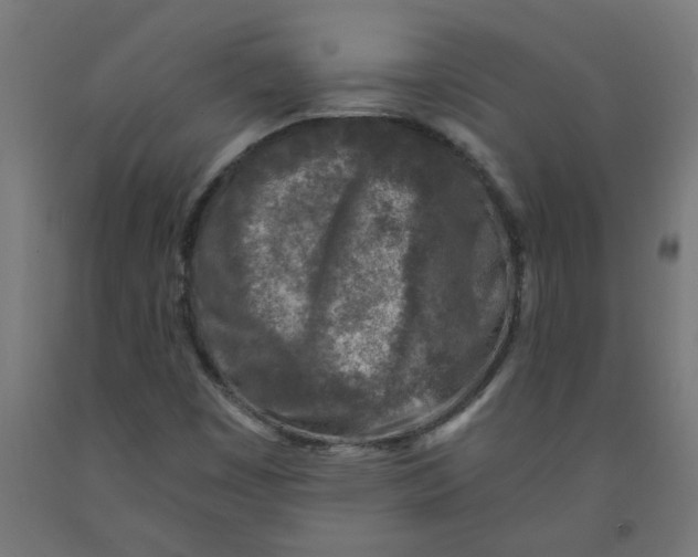 X0000091901449200710031813