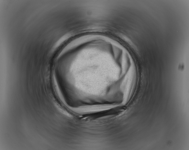 X0000091901450200710031813