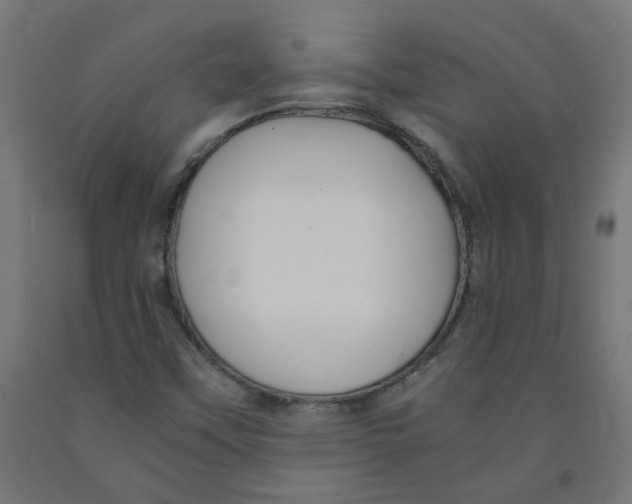 X0000091901451200710031813