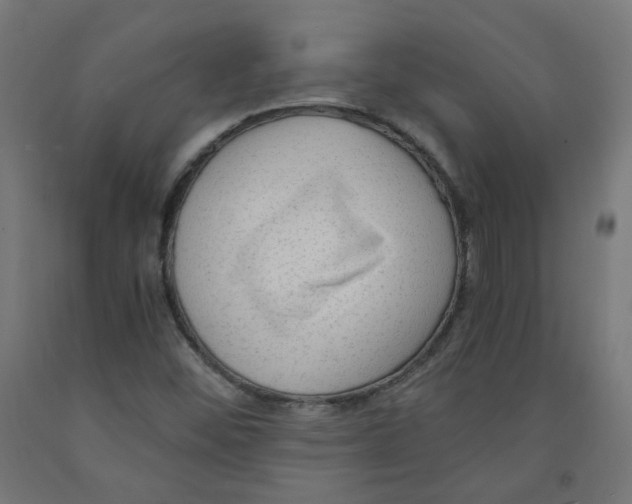 X0000091901452200710031813