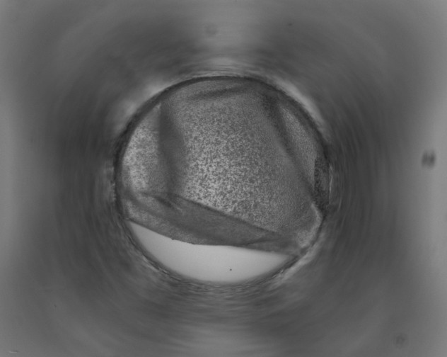 X0000091901453200710031813