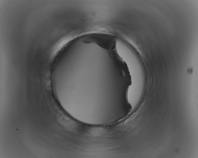 X0000091901455200710031813