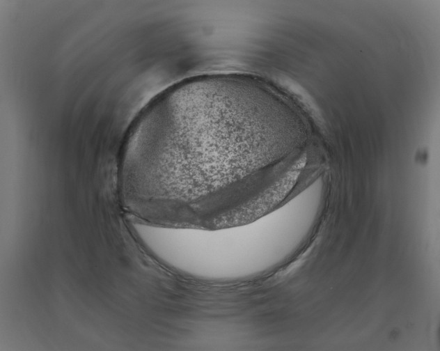 X0000091901457200710031813