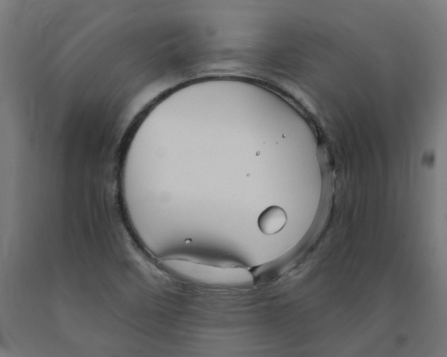 X0000091901458200710031813