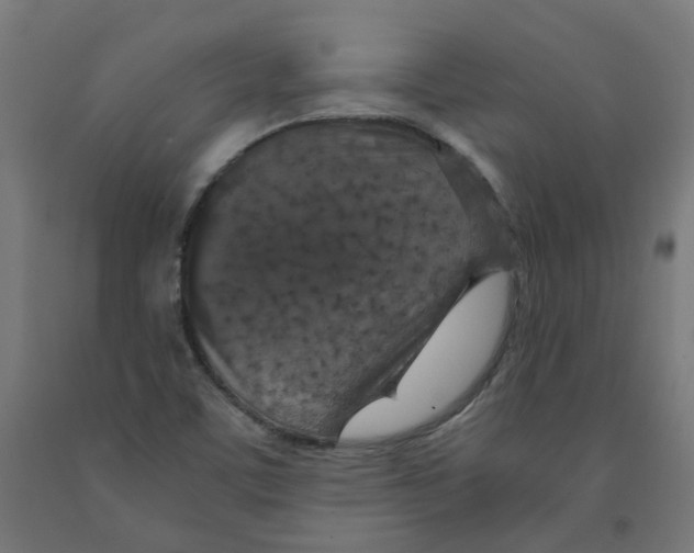 X0000091901459200710031813