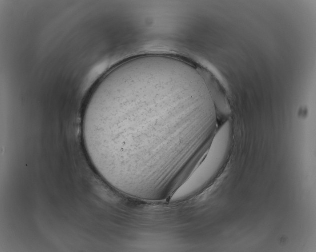 X0000091901461200710031813