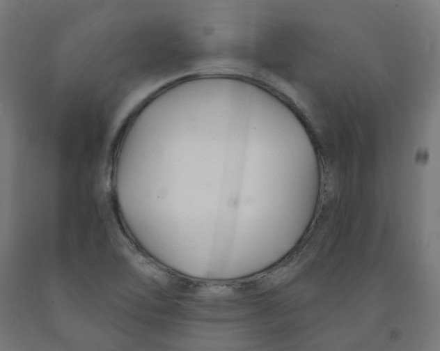 X0000091901462200710031813