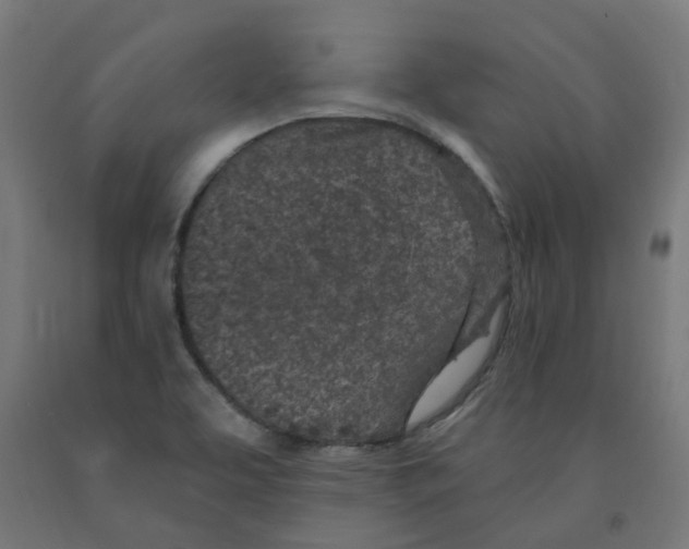 X0000091901463200710031813