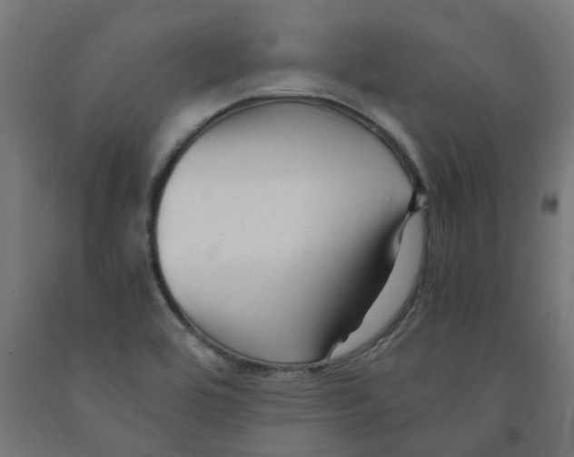 X0000091901464200710031813