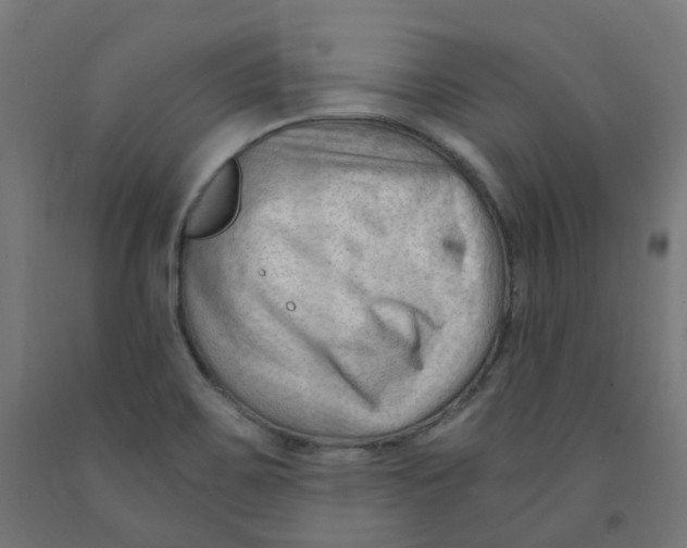 X0000091901467200710031813