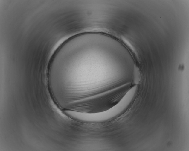 X0000091901468200710031812