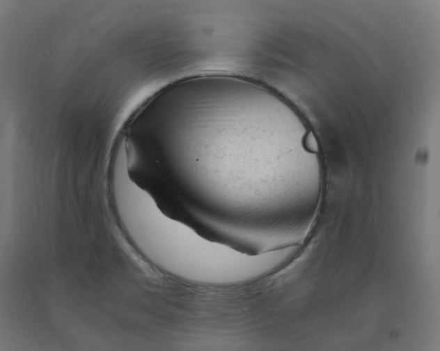 X0000091901469200710031812