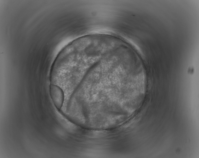 X0000091901471200710031812