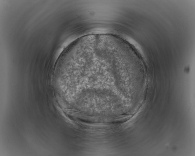 X0000091901473200710031812