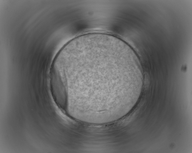 X0000091901474200710031812