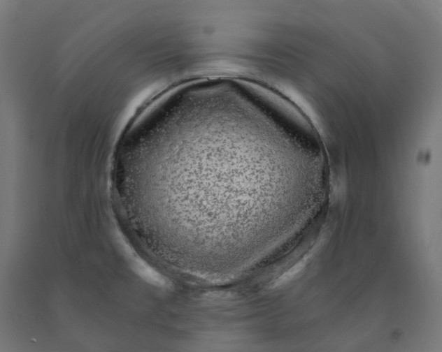 X0000091901477200710031812