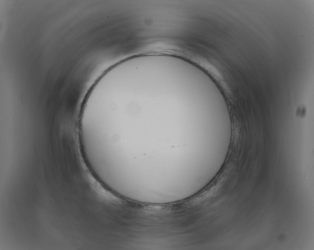 X0000091901478200710031812