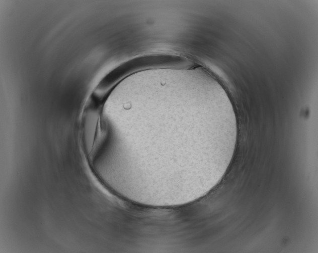 X0000091901479200710031812