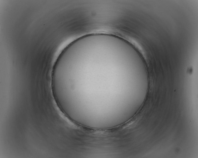 X0000091901480200710031812