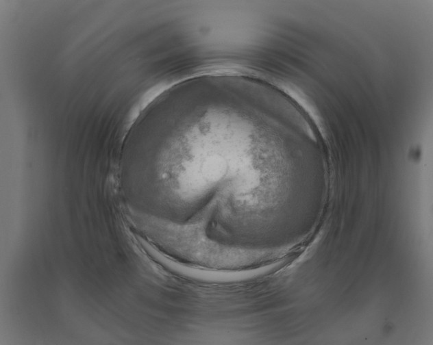 X0000091901481200710031812