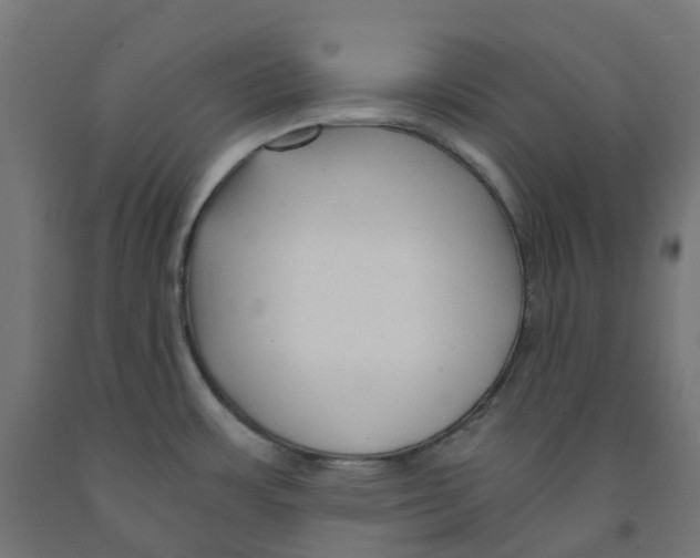 X0000091901483200710031812