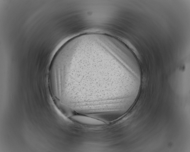 X0000091901484200710031812