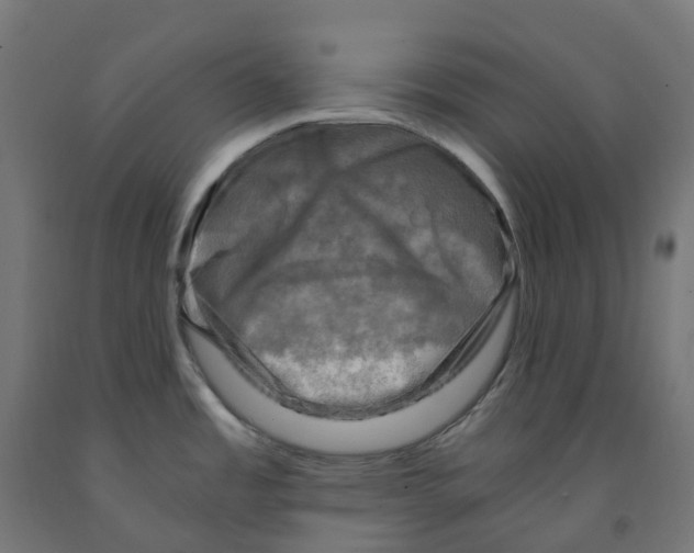 X0000091901485200710031812