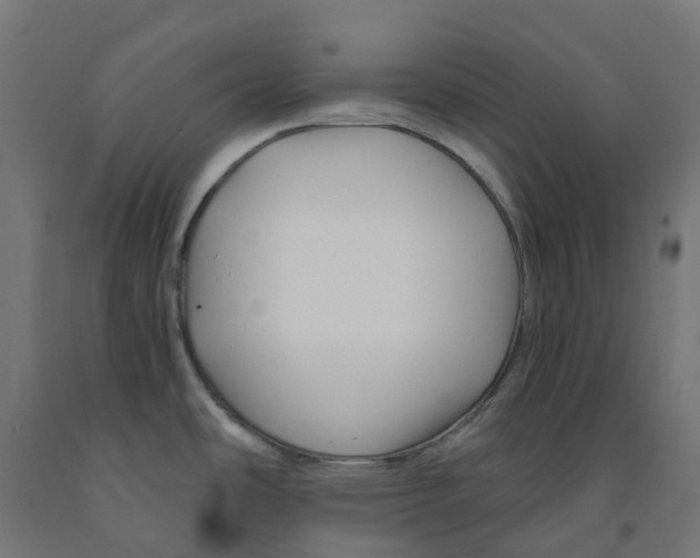 X0000091901486200710031812