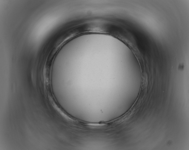 X0000091901487200710031812