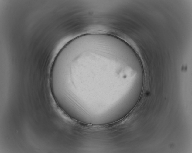 X0000091901488200710031812