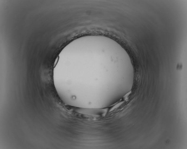 X0000091901490200710031812