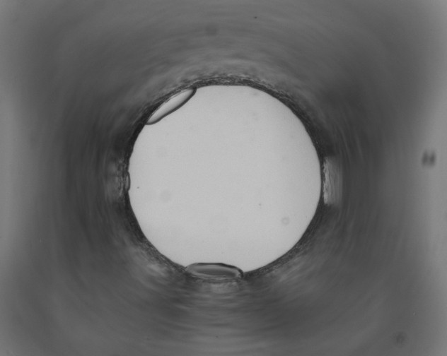 X0000091901491200710031812