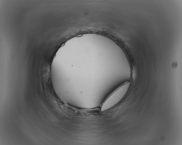 X0000091901492200710031812