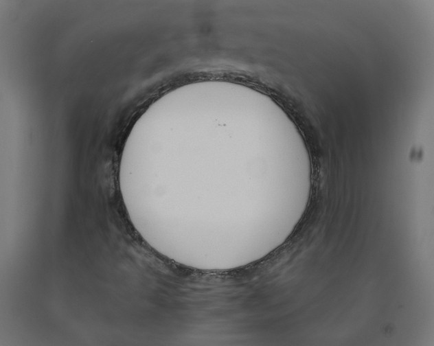 X0000091901493200710031812