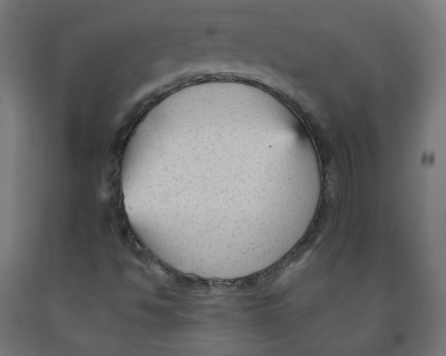 X0000091901494200710031812