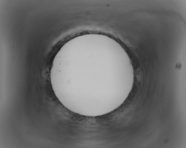 X0000091901495200710031812